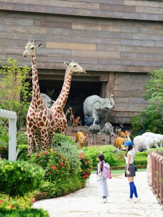 2 days 1 night in Ma Wan, Hong Kong|Worry-free, off-the-beaten-path family trip from Guangzhou
