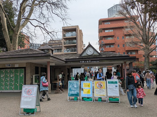 東京美麗的綠洲。