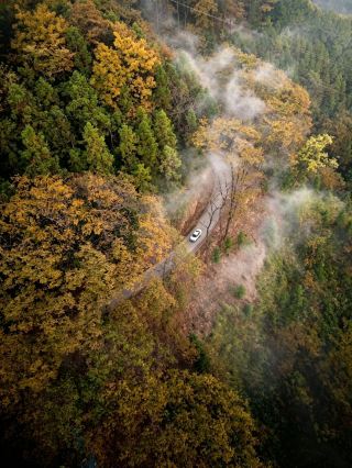 OMG! This hidden gem of a hotel in the mountains of Southern Anhui—I'm obsessed with these stunning autumn views.