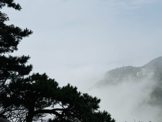 Jiangxi was an unforgettable trip. Jiangxi boasts beautiful scenery, talented people, and numerous attractions, rich in both cultural and natural landscapes. I visited Nanchang, and...