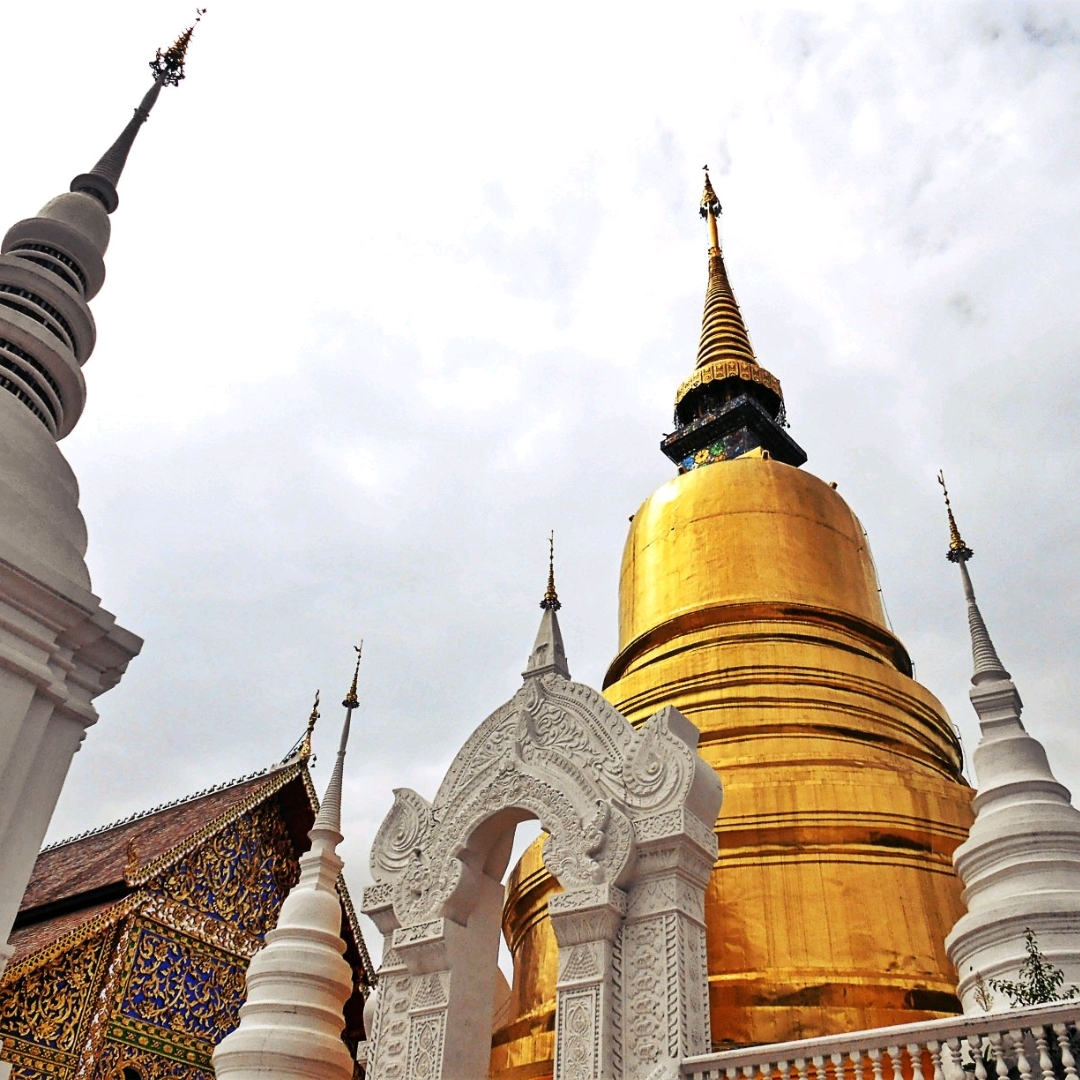 Opulent Wat Suan Dok | Trip.com Chiang Mai