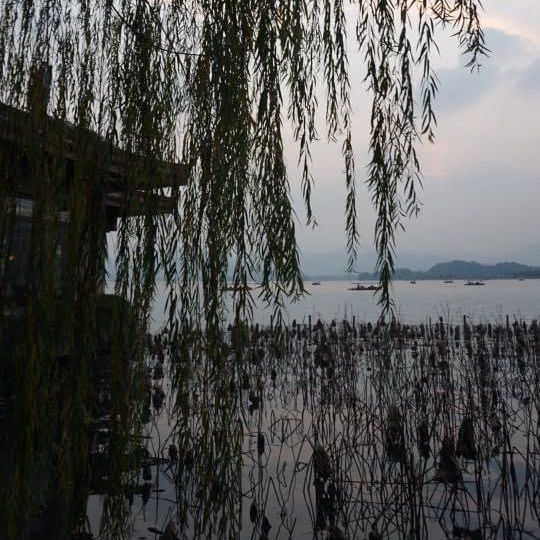 免費走進人間天堂 杭州西湖✨