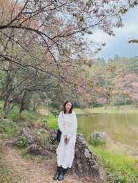ศูนย์อนุรักษ์พันธุ์กล้วยไม้รองเท้านารี 🌸🌸