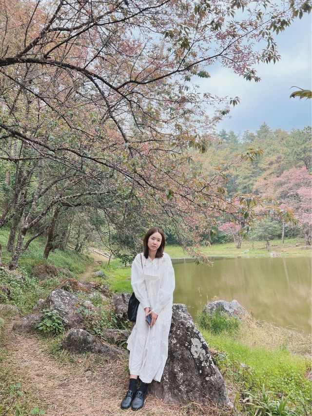 ศูนย์อนุรักษ์พันธุ์กล้วยไม้รองเท้านารี 🌸🌸