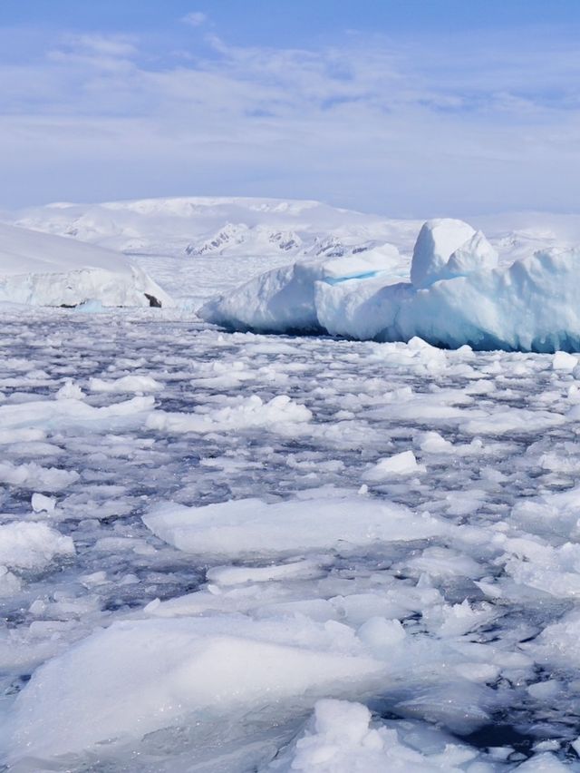 Cruising the Kingdom of Ice 