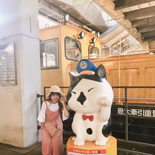 대만 허우통 고양이마을 🐈🐈‍⬛