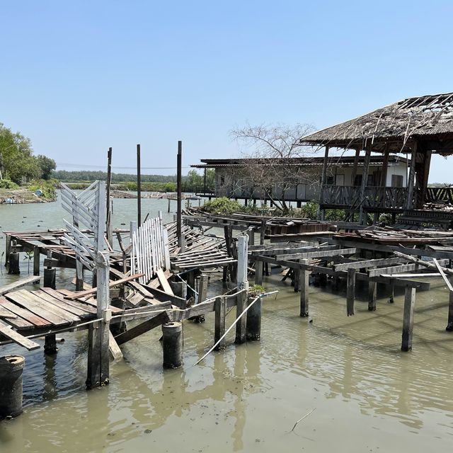 ศูนย์อนุรักษ์ป่าชายเลนคลองโคน
