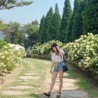 이때가 아니면 즐길 수 없어! 인천 제철 여행🌿