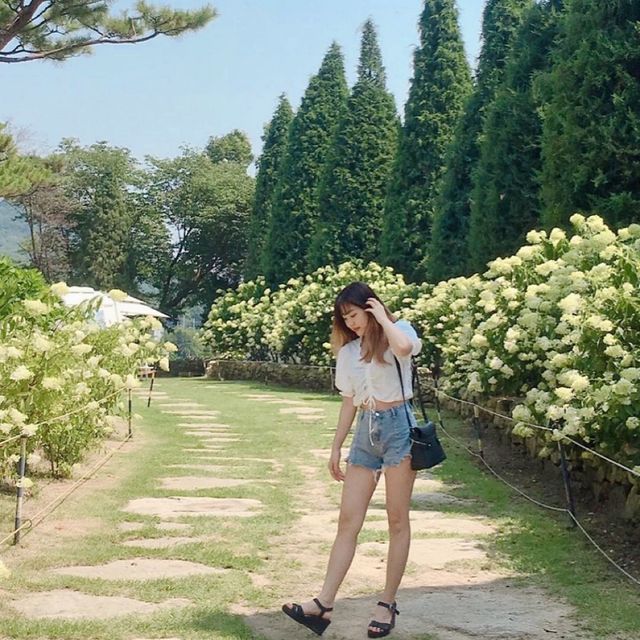 이때가 아니면 즐길 수 없어! 인천 제철 여행🌿
