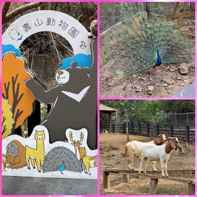 高雄動物園
