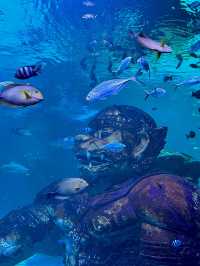 Aquaria Phuket อะควาเรียมมาตรฐานสากล