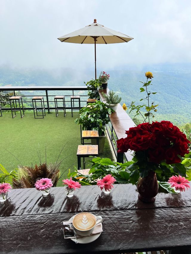 ยอดดอยม่อนแจ่ม coffee ⛰️☕️🪻🌿