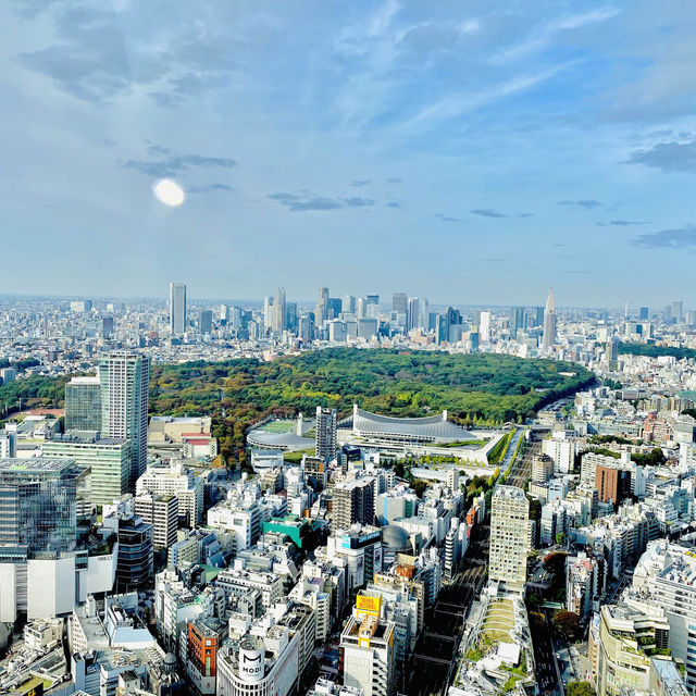 View from Shibuya Sky