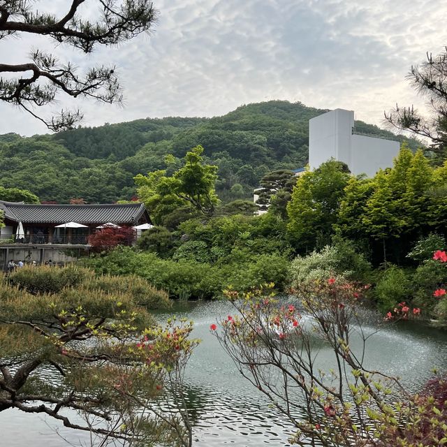 초록 초록 서울근교 힐링공간💚 화담숲🌿