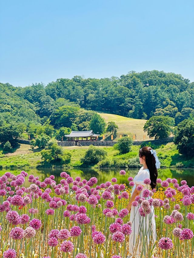 동화속 주인공이 될 수 있는 몽환적인 세상💜