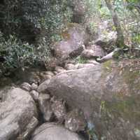 Best trek in south india 