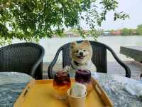 คาเฟ่ริมน้ำ+การเรียนรู้เชิงวนเกษตร อัมพวา