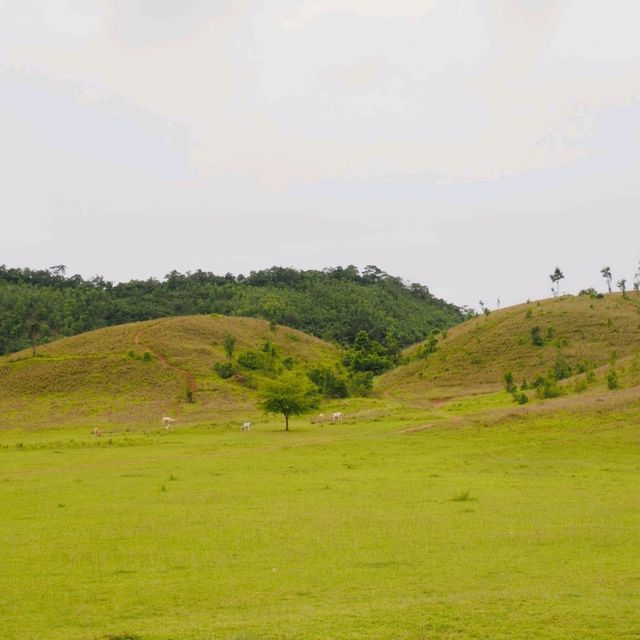 “ระนอง” ไม่ได้มีดีแค่ทะเล 🌾