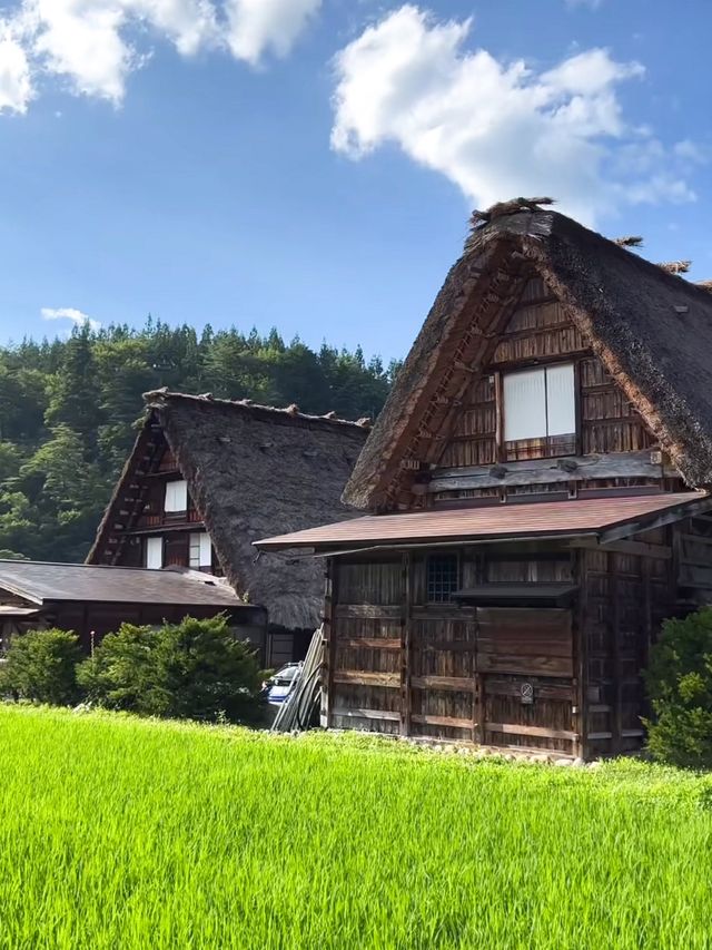 Picture Perfect Trip to Shirakawago