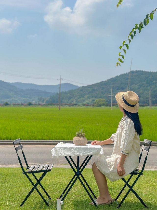 한 여름의 푸른 빛 힐링, 오늘의 우리 집🏠