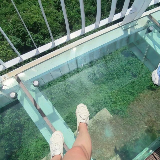 岡山之眼登高遠眺水庫美景