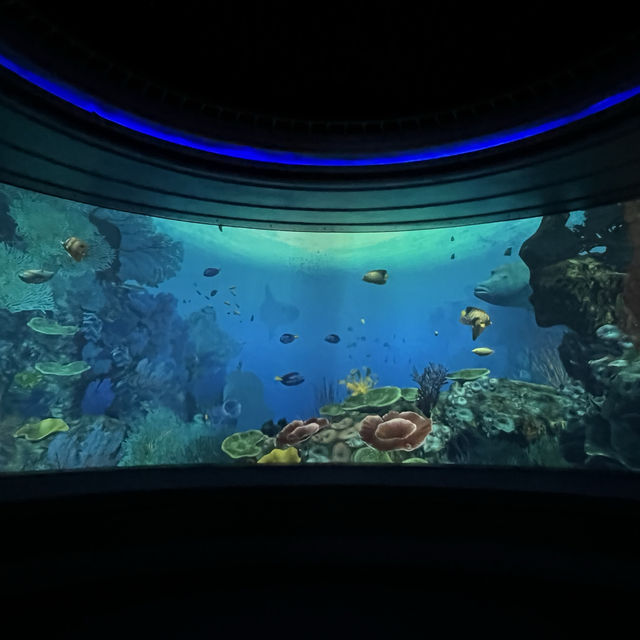 屏東景點-國立海洋生物博物館
