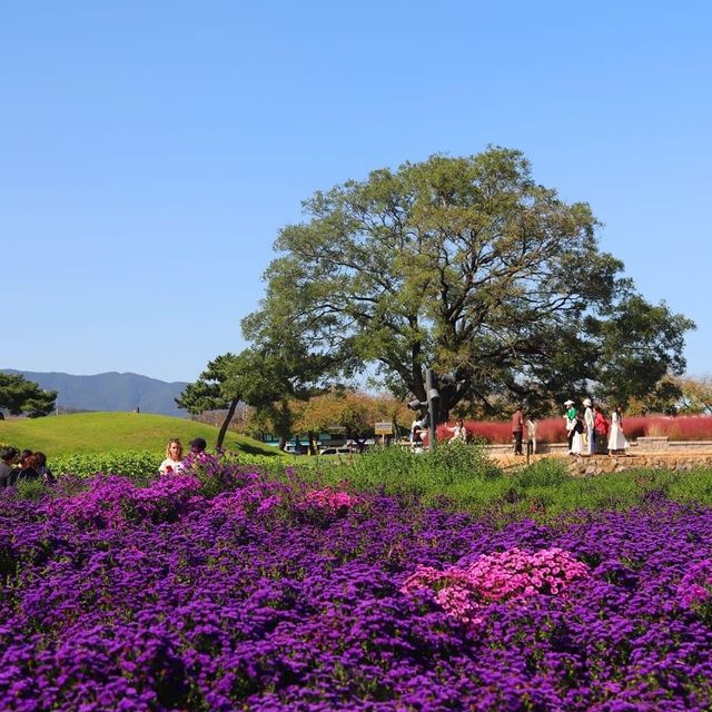Cheomseongdae Astronomical Observatory  Cheomseongdae Astronomical Observatory