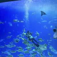 🌊🐠 台灣海洋生物博物館─海洋奇觀樂園 🌊🐠