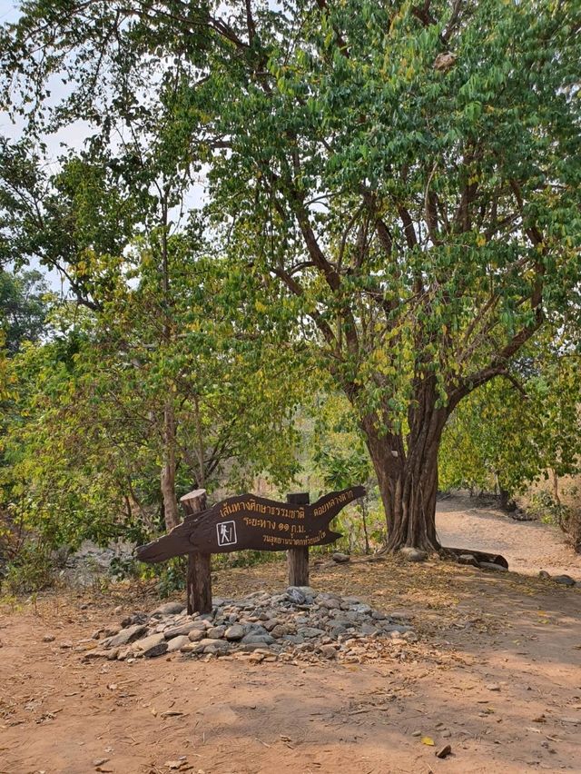 ⛰️ดอยหลวงตาก