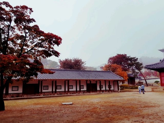 The colours at Sungkyungkwan University