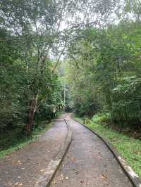 อุทยานแห่งชาติน้ำตกหงาว