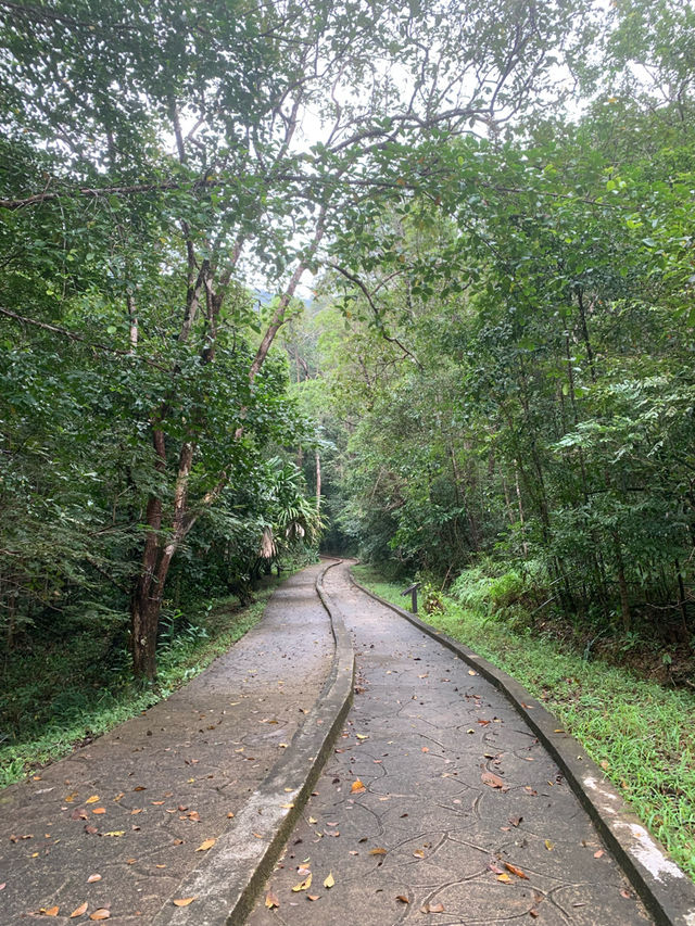 อุทยานแห่งชาติน้ำตกหงาว
