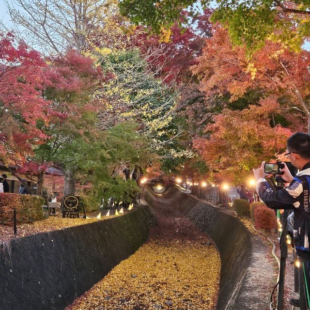 Autumn at Kawaguchiko