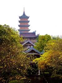 The Beautiful Bai Dinh Pagoda 🇻🇳