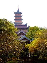 The Beautiful Bai Dinh Pagoda 🇻🇳