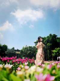 卓蘭山林間的花卉園區 花露農場 Flower Home