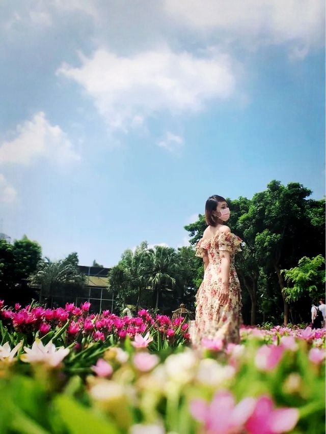 卓蘭山林間的花卉園區 花露農場 Flower Home