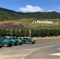 Mountain of Dalat