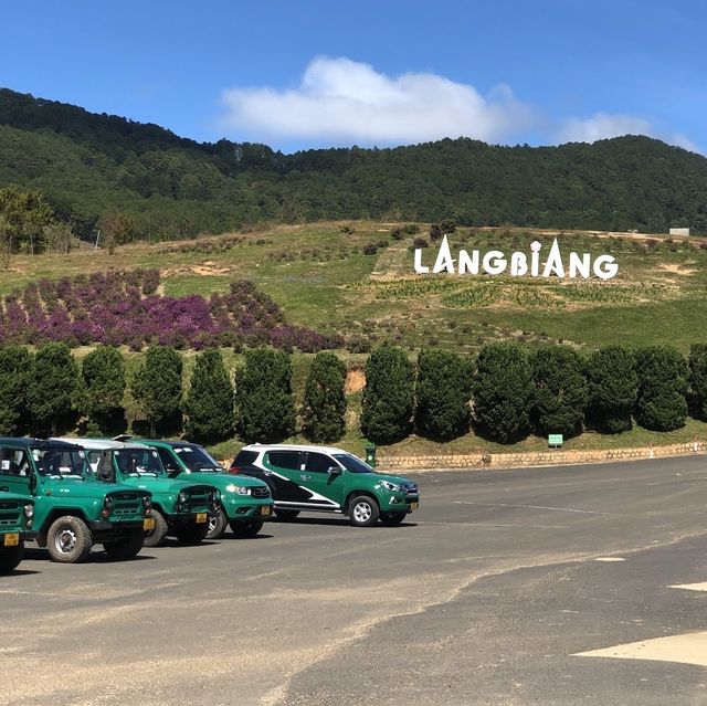 Mountain of Dalat
