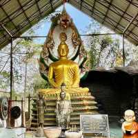 วัดป่าปากโดม อาณาจักรแห่งองค์ทะนะมูลนาคราช 