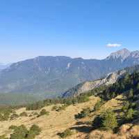 一覽高山遠景【合歡山國家森林公園】