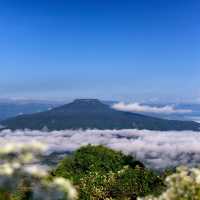📍#ภูป่าเปาะ 🌳⛰ ฟูจิ #เมืองเลย 