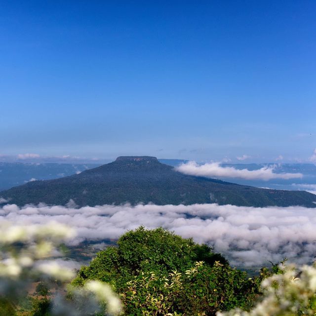 📍#ภูป่าเปาะ 🌳⛰ ฟูจิ #เมืองเลย 