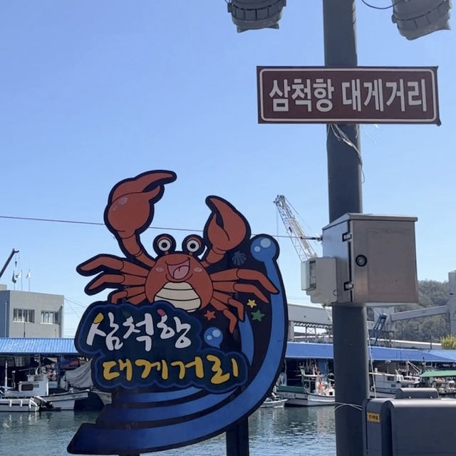 강원도여행 왔으면 이곳에서부터 시작! 삼척항 대게거리🦀