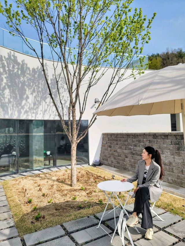 식물복합공간 청도 신상카페 소우모우🌳