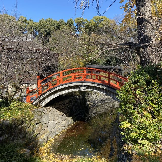 走訪世界文化遺產的「下鴨神社」