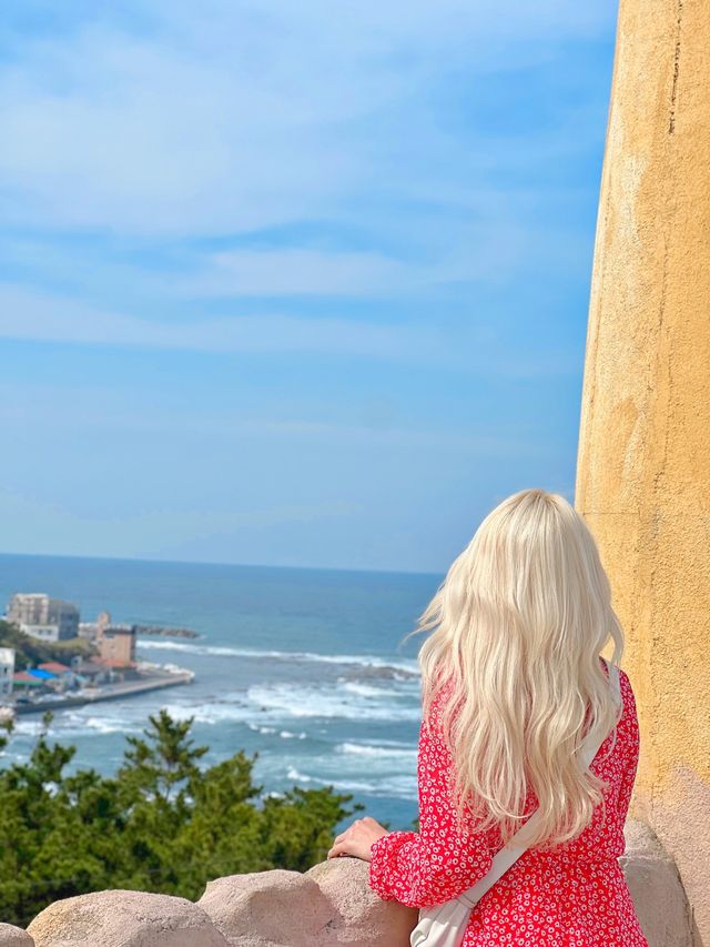 포항 포토존이 한가득인 카페 포토피아📸