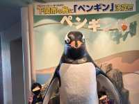 【山口】市立しものせき水族館・海響館