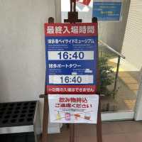 후쿠오카여행코스 하카타 포트타워 전망대는 무료!