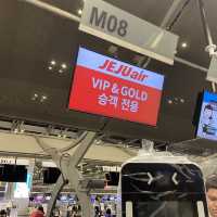 제주항공 vip 혜택 ✈️ 
